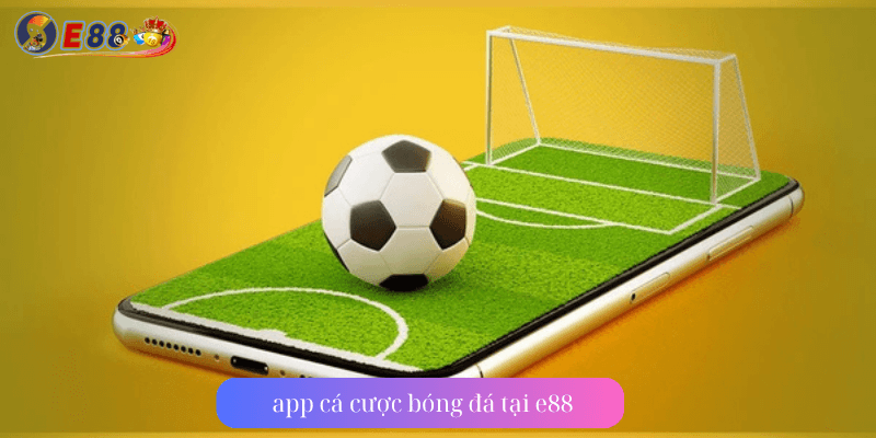App Cá Cược Bóng Đá tại e88