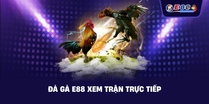 Đá Gà E88 xem trận trực tiếp