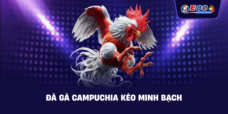 Đá gà Campuchia kèo minh bạch
