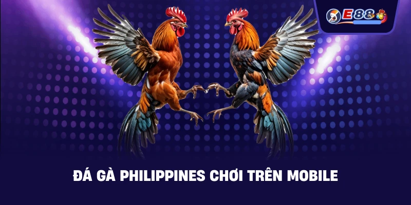 Đá gà Philippines chơi trên mobile