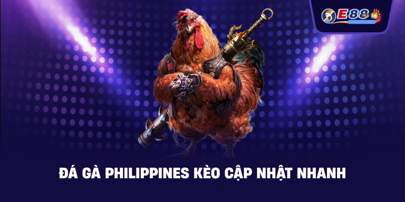 Đá gà Philippines kèo cập nhật nhanh