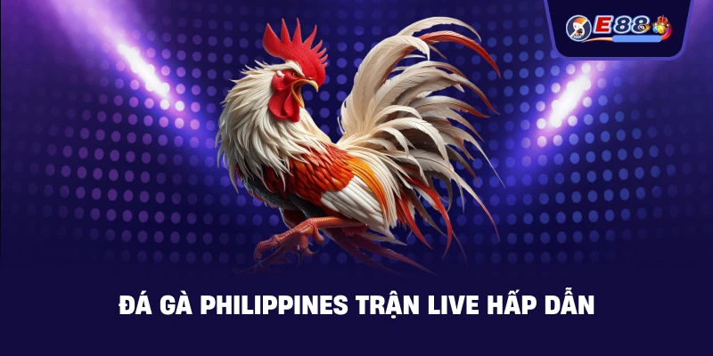 Đá gà Philippines trận live hấp dẫn