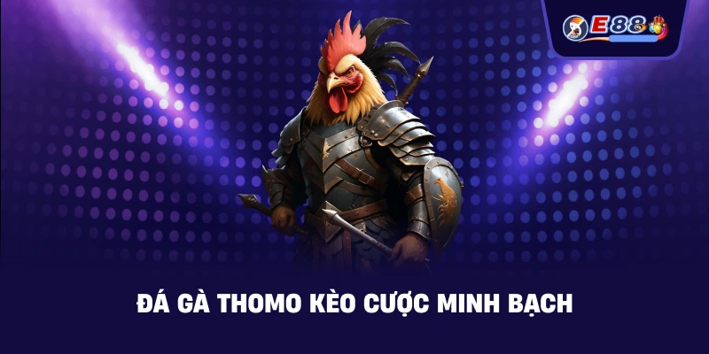 Đá gà Thomo kèo cược minh bạch