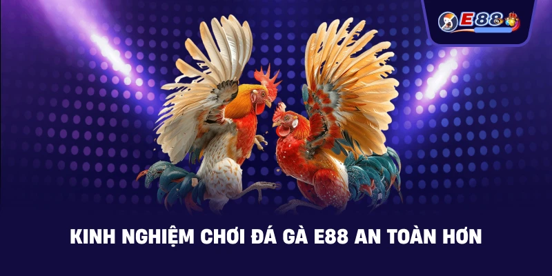 Kinh nghiệm chơi Đá Gà an toàn hơn