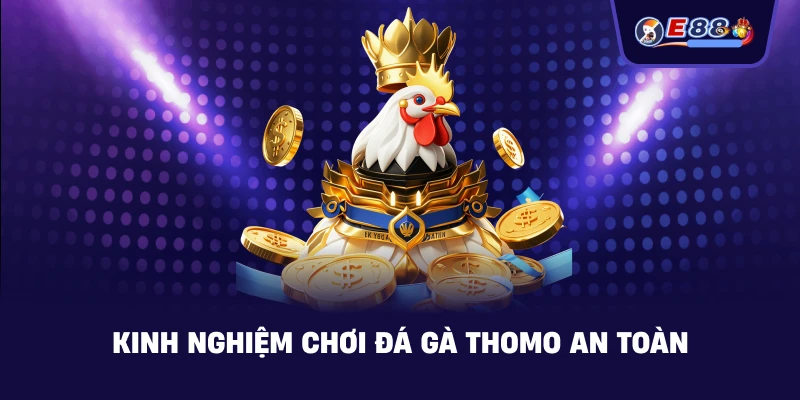 Kinh nghiệm chơi Đá gà Thomo an toàn
